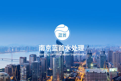 镇巴建站-南京蓝首水处理设备有限公司