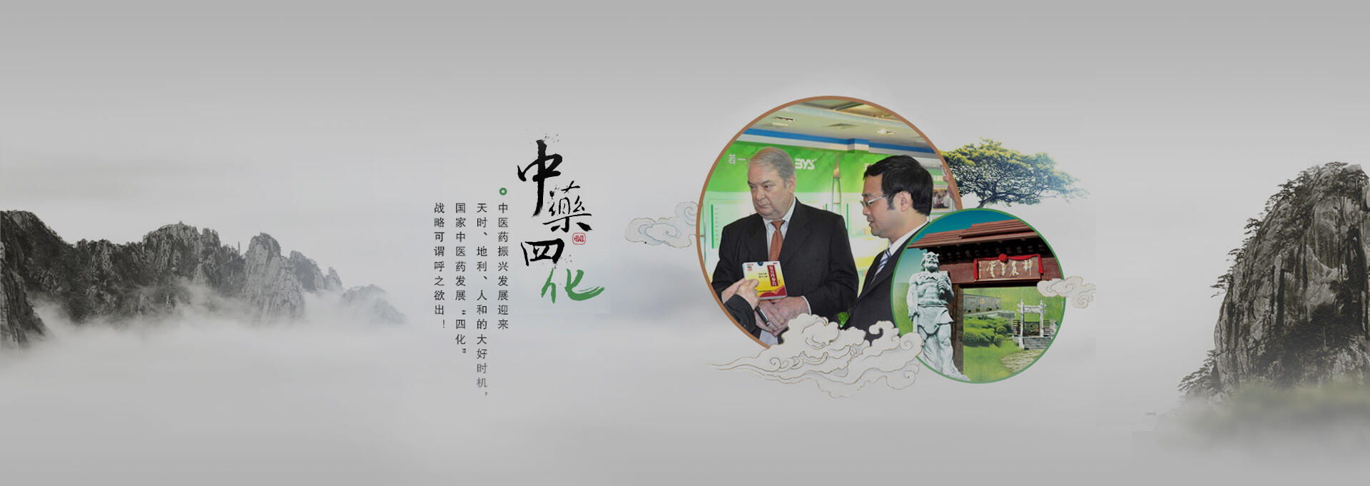 勉县建站-若一医药科技